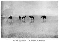 Bardawil salt marsh 1914-19 Canterbury Rifles (Victoria Univ Wellington NewZeal)
